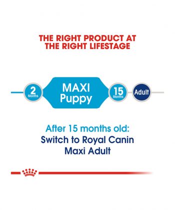 ANIMAL HOUSE HOSPITAL - PRODUCTS ROYAL CANIN MAXI PUPPY 4KG 15KG GALLERY