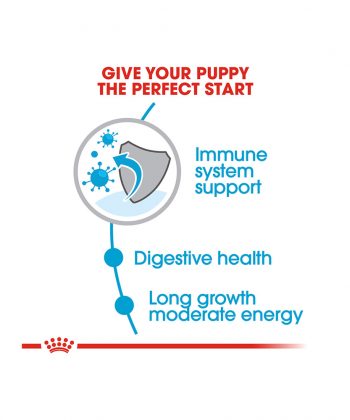 ANIMAL HOUSE HOSPITAL - PRODUCTS ROYAL CANIN MAXI PUPPY 4KG 15KG GALLERY