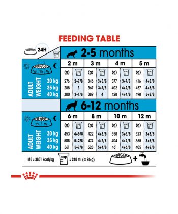 ANIMAL HOUSE HOSPITAL - PRODUCTS ROYAL CANIN MAXI PUPPY 4KG 15KG GALLERY