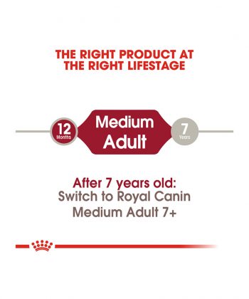 ANIMAL HOUSE HOSPITAL - PRODUCTS ROYAL CANIN MEDIUM ADULT 4KG 10KG 15KG GALLERY