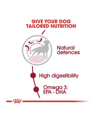 ANIMAL HOUSE HOSPITAL - PRODUCTS ROYAL CANIN MEDIUM ADULT 4KG 10KG 15KG GALLERY