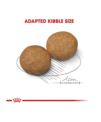 ANIMAL HOUSE HOSPITAL - PRODUCTS ROYAL CANIN MEDIUM ADULT 4KG 10KG 15KG GALLERY