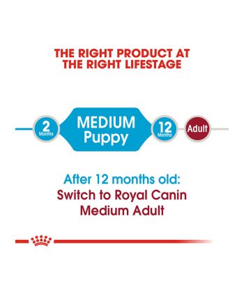 ANIMAL HOUSE HOSPITAL - PRODUCTS ROYAL CANIN MEDIUM PUPPY 4KG 15KG GALLERY