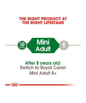 ANIMAL HOUSE HOSPITAL - PRODUCTS ROYAL CANIN MINI MATURE 2KG 4KG GALLERY
