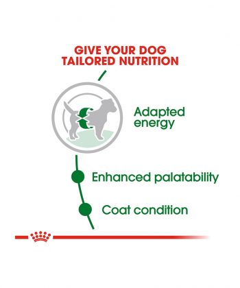 ANIMAL HOUSE HOSPITAL - PRODUCTS ROYAL CANIN MINI MATURE 2KG 4KG GALLERY