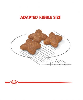 ANIMAL HOUSE HOSPITAL - PRODUCTS ROYAL CANIN MINI MATURE 2KG 4KG GALLERY