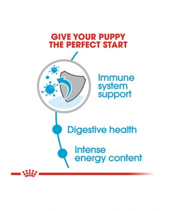 ANIMAL HOUSE HOSPITAL - PRODUCTS ROYAL CANIN MINI PUPPY 2KG 4KG GALLERY