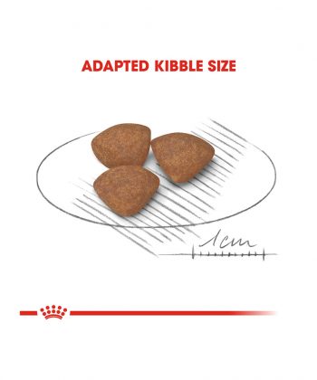 ANIMAL HOUSE HOSPITAL - PRODUCTS ROYAL CANIN MINI PUPPY 2KG 4KG GALLERY