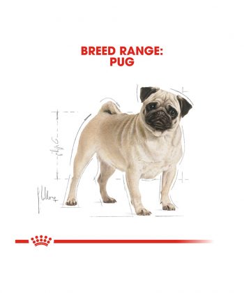 ANIMAL HOUSE HOSPITAL - PRODUCTS ROYAL CANIN PUG ADULT 1.5KG GALLERY
