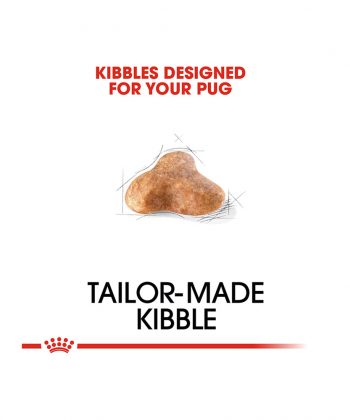 ANIMAL HOUSE HOSPITAL - PRODUCTS ROYAL CANIN PUG ADULT 1.5KG GALLERY