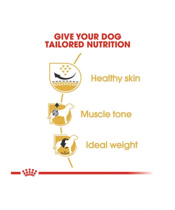 ANIMAL HOUSE HOSPITAL - PRODUCTS ROYAL CANIN PUG ADULT 1.5KG GALLERY