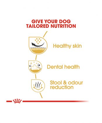 ANIMAL HOUSE HOSPITAL - PRODUCTS ROYAL CANIN SHIH TZU ADULT 1.5KG GALLERY