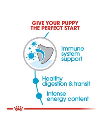 ANIMAL HOUSE HOSPITAL - PRODUCTS ROYAL CANIN X SMALL PUPPY 1.5KG GALLERY