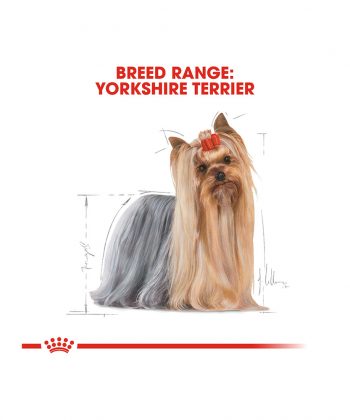ANIMAL HOUSE HOSPITAL - PRODUCTS ROYAL CANIN YORKSHIRE TERRIER ADULT 1.5KG GALLERY