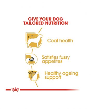 ANIMAL HOUSE HOSPITAL - PRODUCTS ROYAL CANIN YORKSHIRE TERRIER ADULT 1.5KG GALLERY