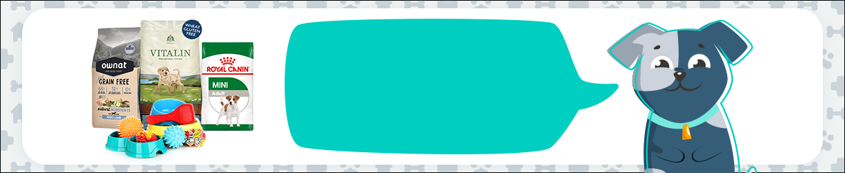Animal House Hospital Homepage Banner1 image 1USD 1500LBP