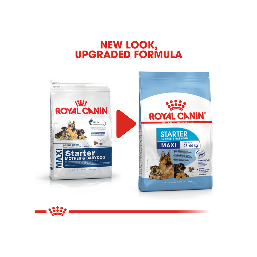 royal canin maxi starter 4kg lowest price