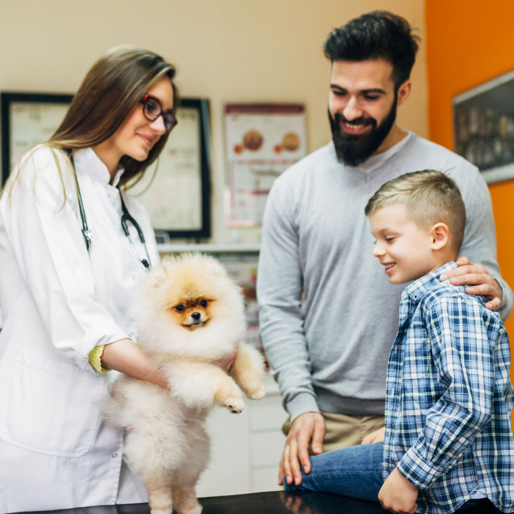 ANIMAL HOUSE HOSPITAL - VETERINARY HOSPITAL SCHEDULE A VISIT